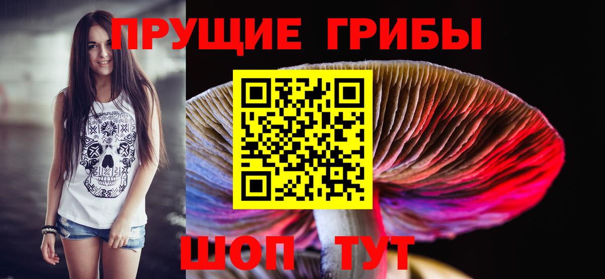 Галлюциногенные грибы мицелий  Вход с VPN  Дмитров 